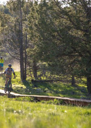 Moore Mountain Ridgeview Trail Wood feature | Klamath Trails Alliance