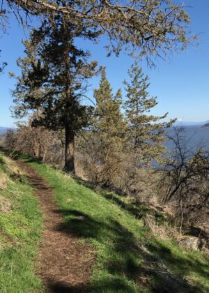 Moore Park Klamath Ridgeview Trail | Klamath Trails Alliance