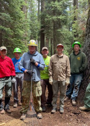 Brown Mountain Volunteer Work Trail Crew. Old Growth Forest | Klamath Trails Alliance