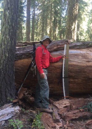 Brown Mountain Volunteer Work. Old Growth Forest | Klamath Trails Alliance